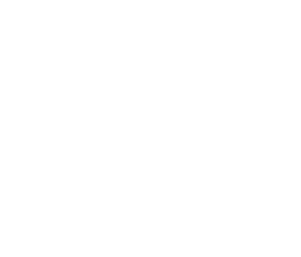 Language Selector